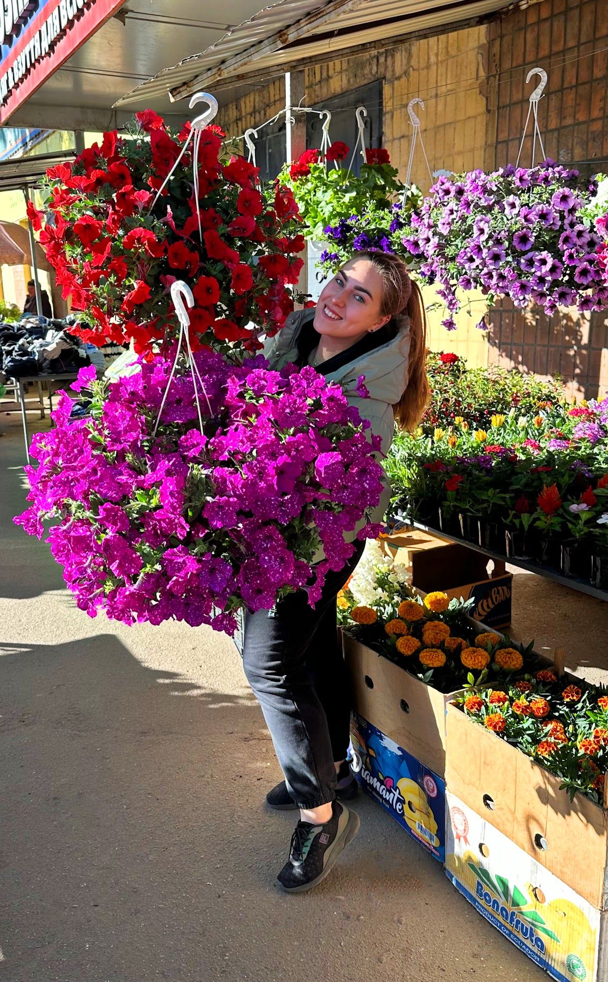 🪴Догляд за ампельними та каскадними петуніями